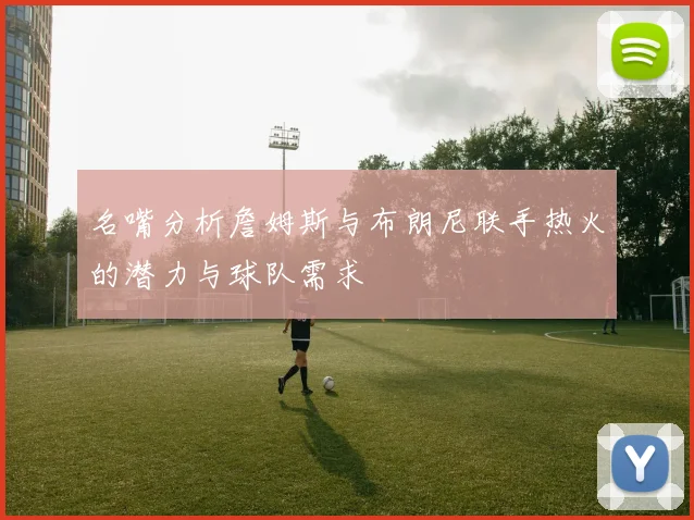 名嘴分析詹姆斯与布朗尼联手热火的潜力与球队需求