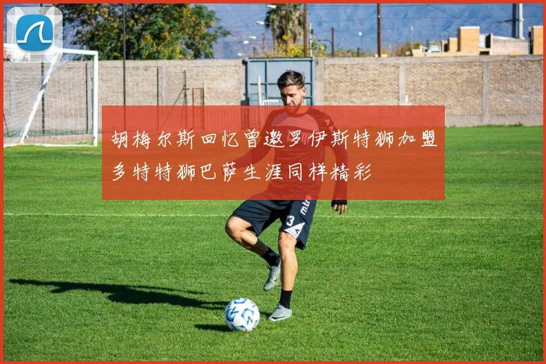 胡梅尔斯回忆曾邀罗伊斯特狮加盟多特特狮巴萨生涯同样精彩