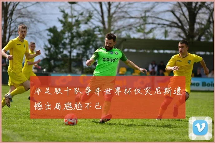 非足联十队争夺世界杯仅突尼斯遗憾出局尴尬不已